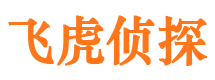 泰山侦探公司